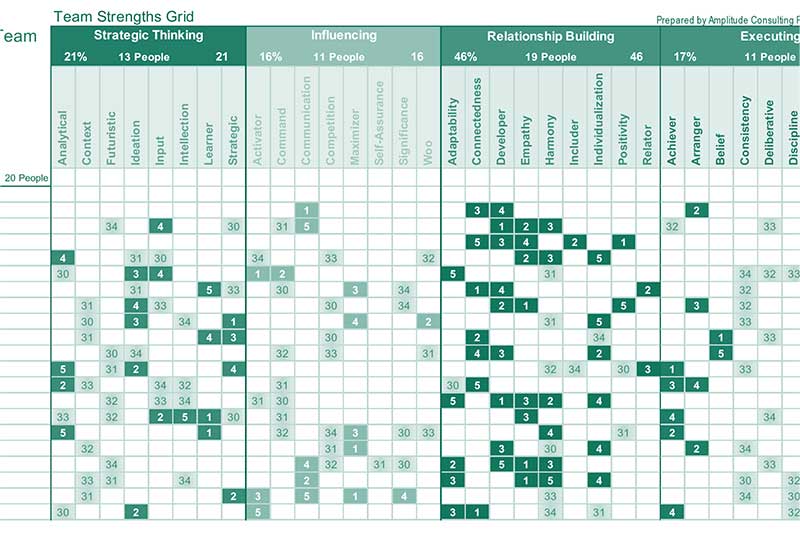 Team Strengths Grid